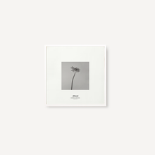 Cargar imagen en el visor de la galería, Gerbera I