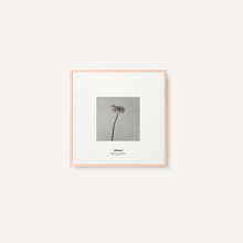 Cargar imagen en el visor de la galería, Gerbera I