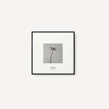 Cargar imagen en el visor de la galería, Gerbera I