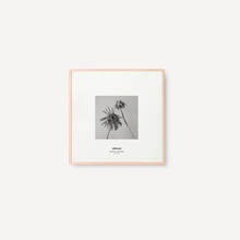 Cargar imagen en el visor de la galería, Gerbera II