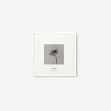 Cargar imagen en el visor de la galería, Gerbera III