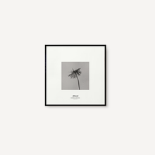 Cargar imagen en el visor de la galería, Gerbera III