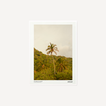 Cargar imagen en el visor de la galería, Tayrona II Colombian summer