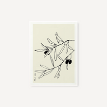 Cargar imagen en el visor de la galería, Cuadro decorativo para pared - Olive I Blanco - All The Wall