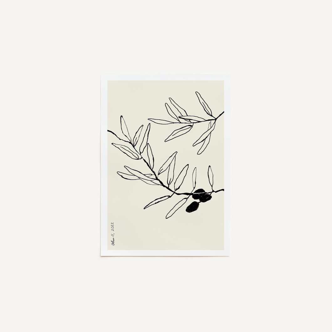 Cuadro decorativo para pared - Olive II Poster sin enmarcar - All The Wall